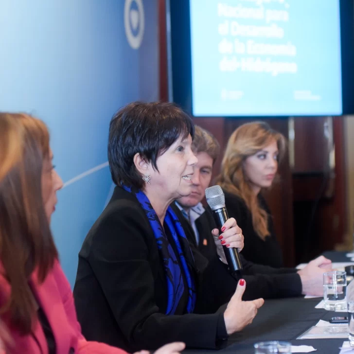 Santa Cruz participó de la presentación de la estrategia argentina para industrializar el hidrógeno