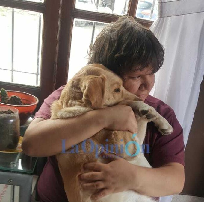 Más de 2000 personas firmaron pedido de Justicia por Mia, la perra que murió en manos de un veterinario