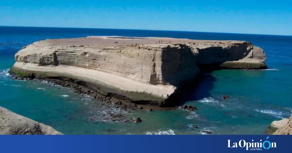 El Parque Nacional Monte León busca voluntarios para la temporada 2026-2027
