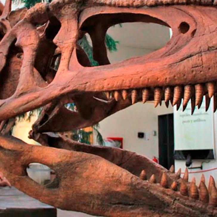 Chubut: reabre el museo de los dinosaurios en Trelew