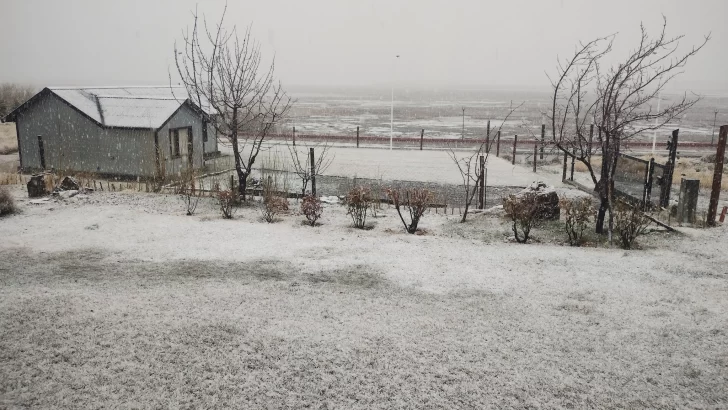 Video. A días del inicio de la primavera, continua nevando en El Calafate