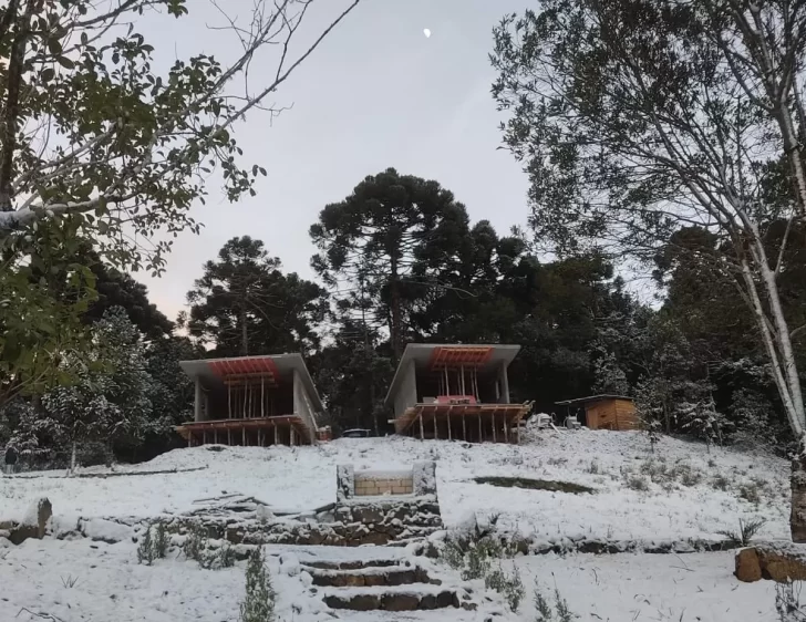 Videos. Ola de frío en Brasil: la nieve cubrió 47 ciudades