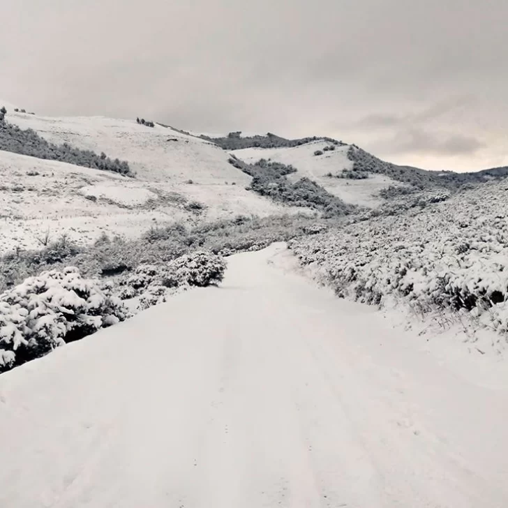 Cae nieve en la zona cordillerana de Santa Cruz, Río Negro y Neuquén: ¡mirá las fotos y videos! Cae nieve en la zona cordillerana de Santa Cruz, Río Negro y Neuquén: ¡mirá las fotos y videos!