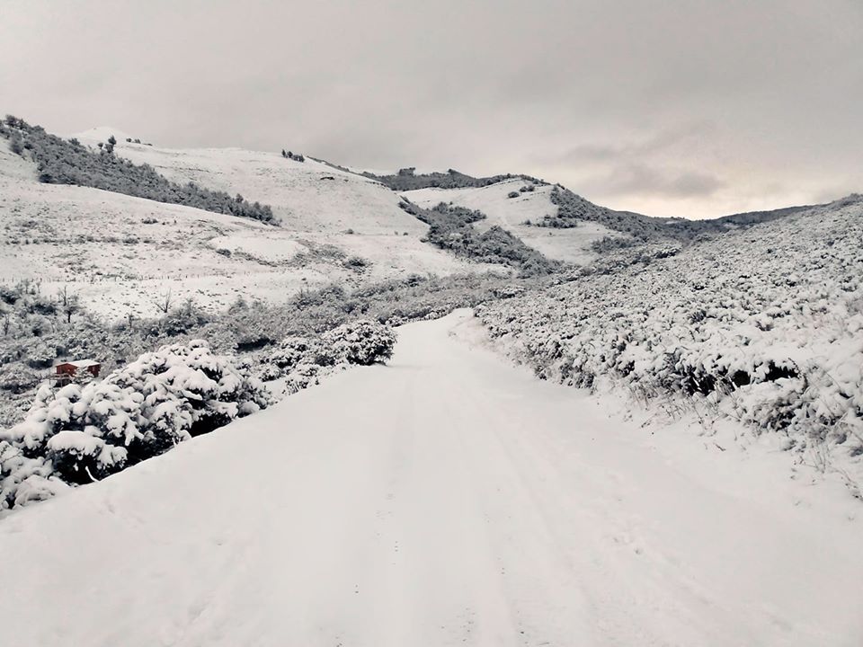 Cae nieve en la zona cordillerana de Santa Cruz, Río Negro y Neuquén: ¡mirá las fotos y videos! Cae nieve en la zona cordillerana de Santa Cruz, Río Negro y Neuquén: ¡mirá las fotos y videos!