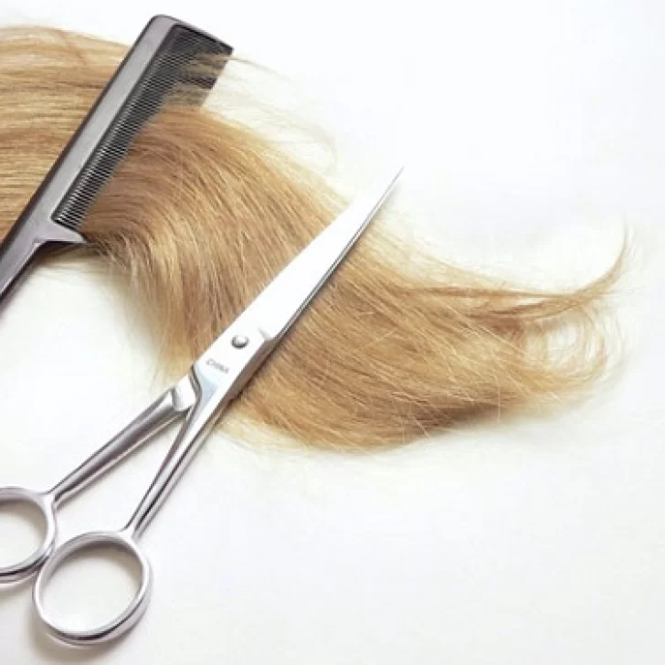 Porque se celebra el 25 de agosto el Día Internacional del Peluquero Porque se celebra el 25 de agosto el Día Internacional del Peluquero