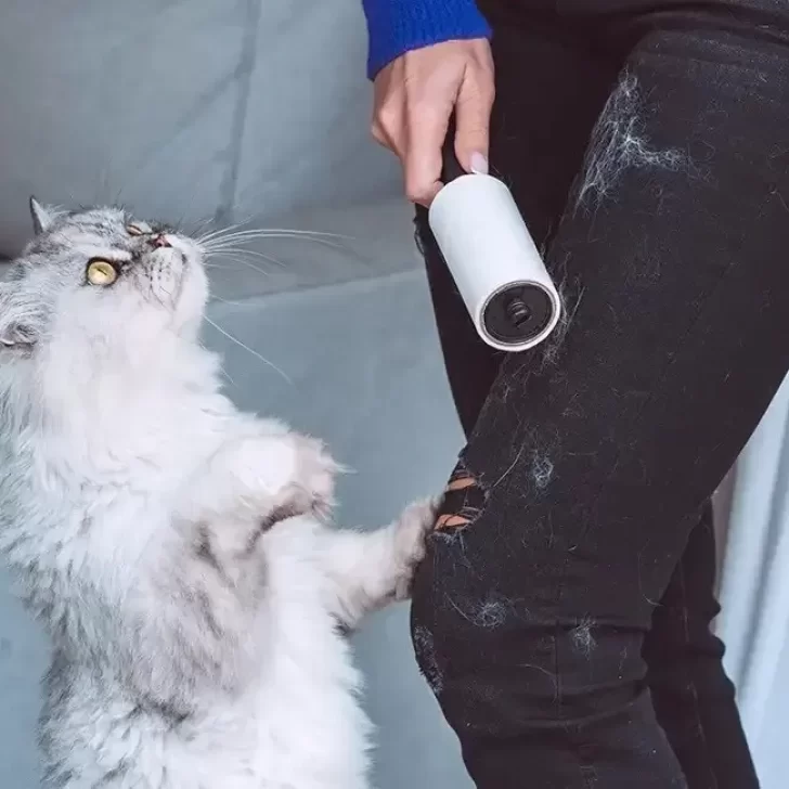 Cómo sacar pelos de perro o gato de la ropa Cómo sacar pelos de perro o gato de la ropa