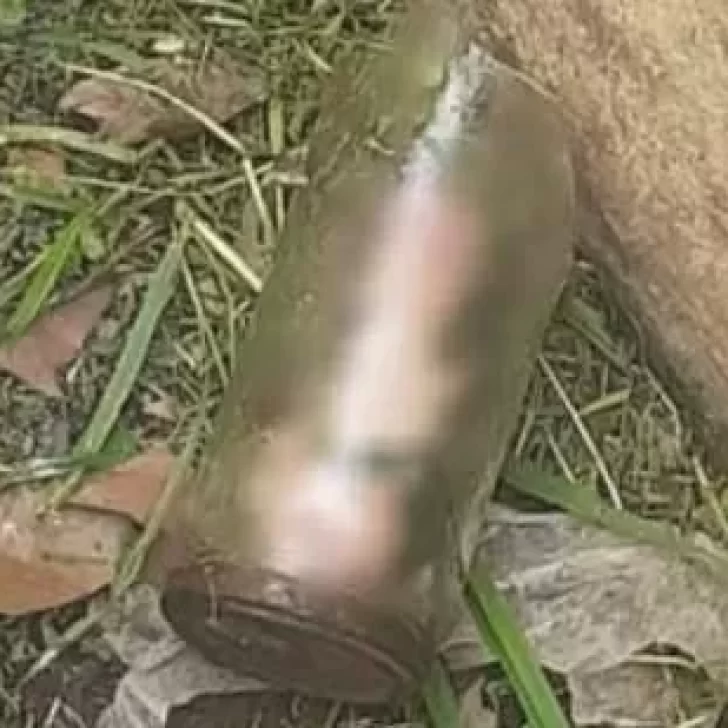 Un vecino encontró un pene humano en el frente de su casa
