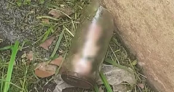 Un vecino encontró un pene humano en el frente de su casa