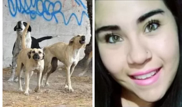 Salió a correr, la atacaron al menos siete perros y murió desangrada