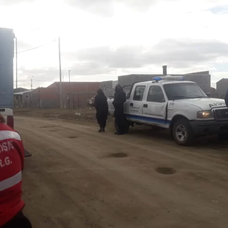 Otra vez la crueldad: cuatro perros fueron envenenados en el barrio San Benito Otra vez la crueldad: cuatro perros fueron envenenados en el barrio San Benito