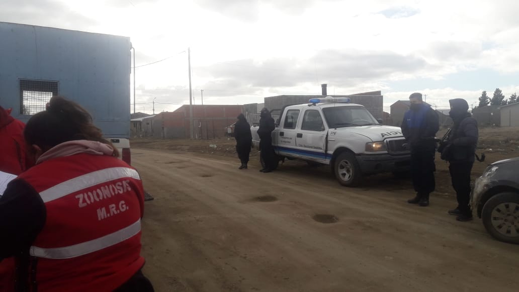 Otra vez la crueldad: cuatro perros fueron envenenados en el barrio San Benito Otra vez la crueldad: cuatro perros fueron envenenados en el barrio San Benito
