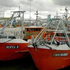 Sector pesquero en alerta: “Hoy no hay conflicto en la calle, pero puede venir”