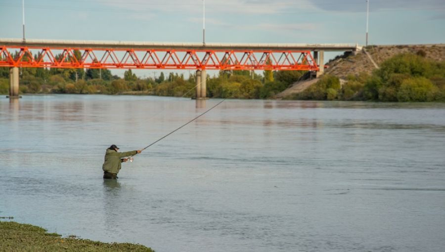 Dónde se podrá pescar, precio de los carné y a partir de cuándo se habilitará la pesca deportiva Dónde se podrá pescar, precio de los carné y a partir de cuándo se habilitará la pesca deportiva