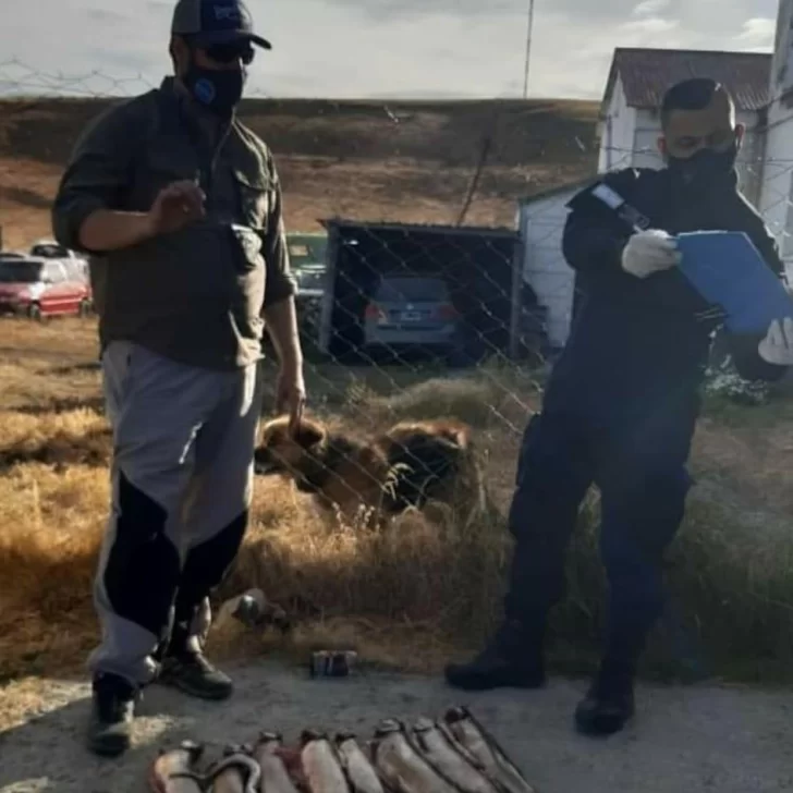 Detectaron pescadores en Puente Blanco incumpliendo la Ley