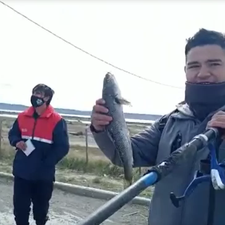 Pescar para comer: el Club de Pescadores de Río Gallegos presentó un proyecto que nunca avanzó