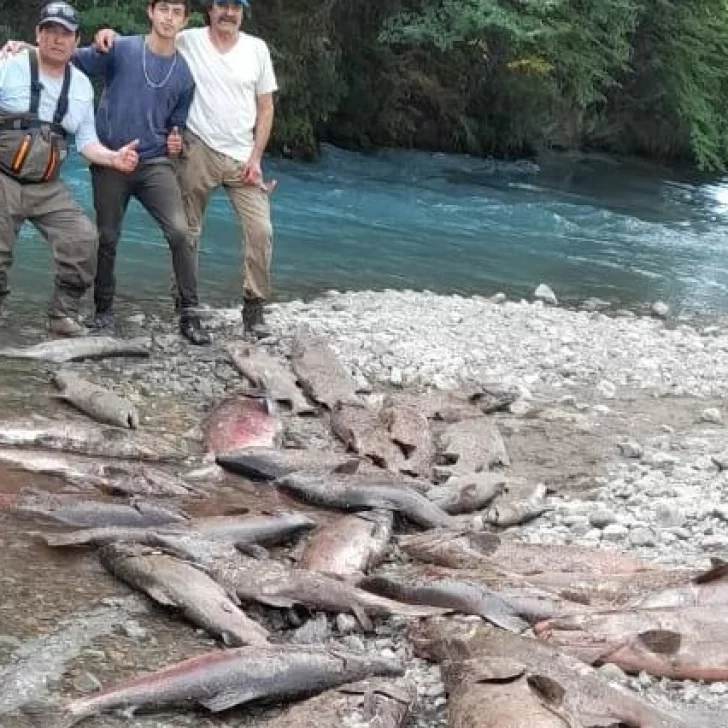 Polémica: pescadores posaron con salmones y los acusan de depredar