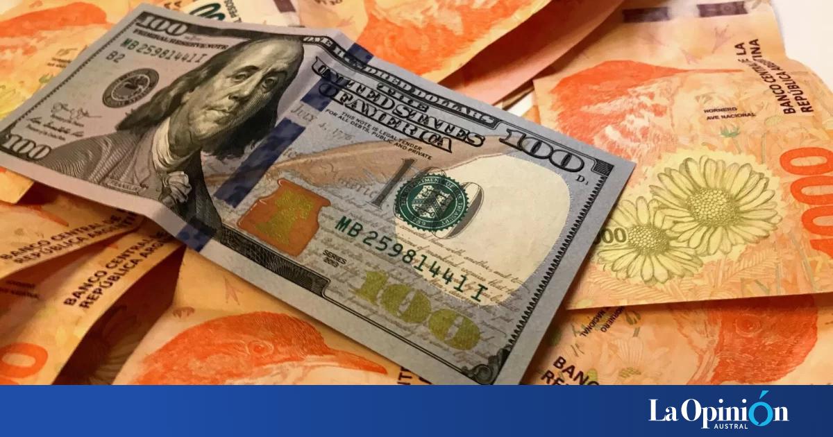 ¿Cómo sería tu sueldo en dólares según la propuesta de Milei? Una