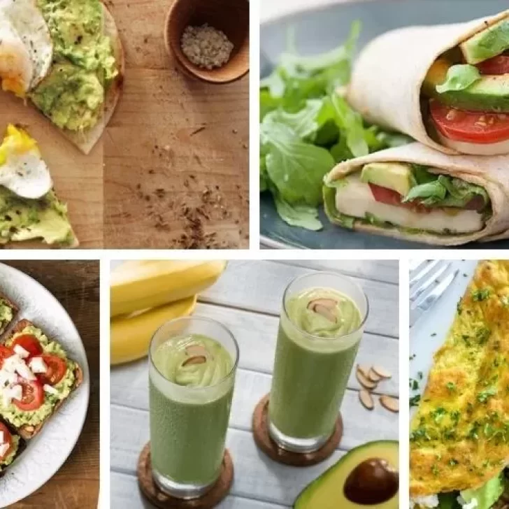 Recetas: 5 ideas para incorporar la palta a tus comidas y disfrutar sus beneficios