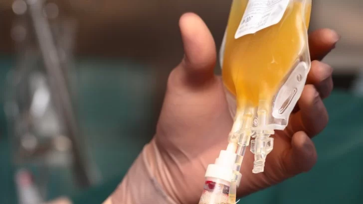 Afirman que cada donación de plasma puede salvar “hasta cuatro personas”