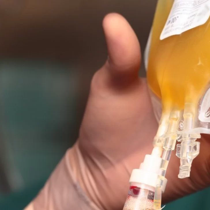 Afirman que cada donación de plasma puede salvar “hasta cuatro personas”