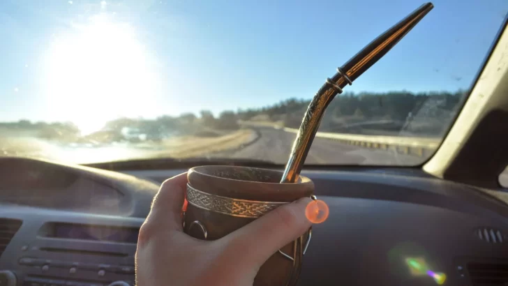 Vacaciones de verano: ¿Es legal tomar mate mientras se maneja en la ruta?