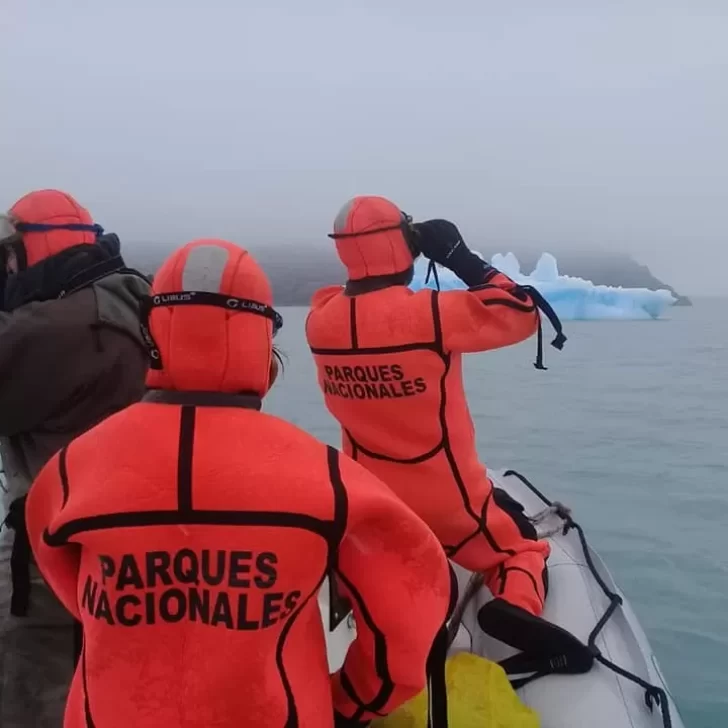 ¿Qué pasó con el puma sobre el témpano de hielo en el Lago Argentino?