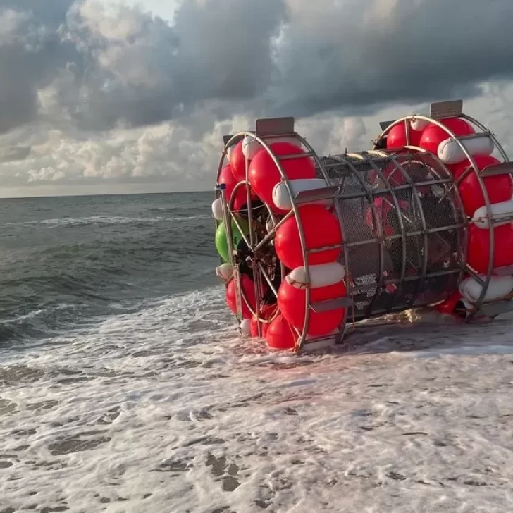 Construyó una rueda de hámster gigante para “correr sobre el agua” pero ladrones frustraron su sueño Construyó una rueda de hámster gigante para “correr sobre el agua” pero ladrones frustraron su sueño