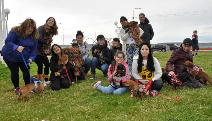 salchichas-opt-728x415 salchichas-opt-728x415