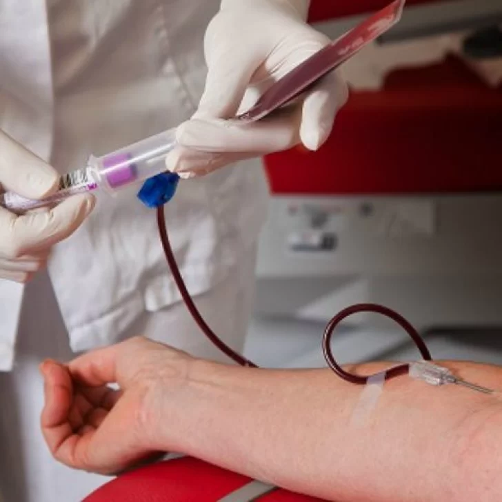 Ministerio de Salud bonarense afirma que la orientación sexual no impide donar sangre o plasma