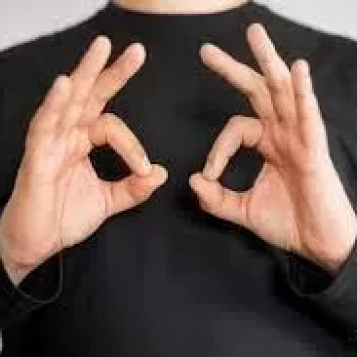 Se utilizará un sistema de señas a través de Whatsapp para asistir a personas con discapacidades en las elecciones Se utilizará un sistema de señas a través de Whatsapp para asistir a personas con discapacidades en las elecciones