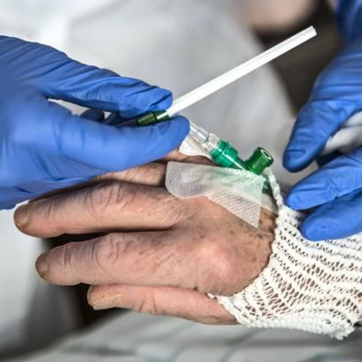 El suero equino para el coronavirus se repartirá en los hospitales esta semana