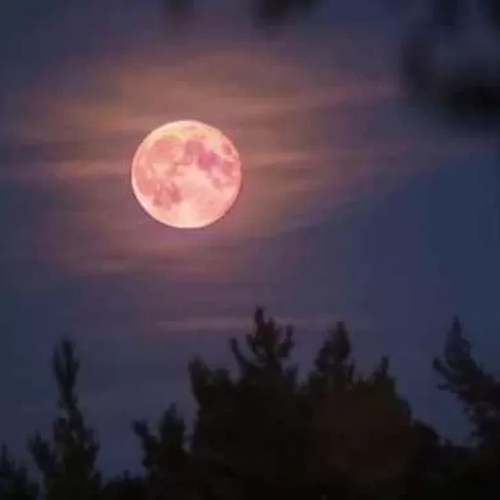 Qué es la “Superluna de flores”, el fenómeno astronómico del 26 de mayo Qué es la “Superluna de flores”, el fenómeno astronómico del 26 de mayo