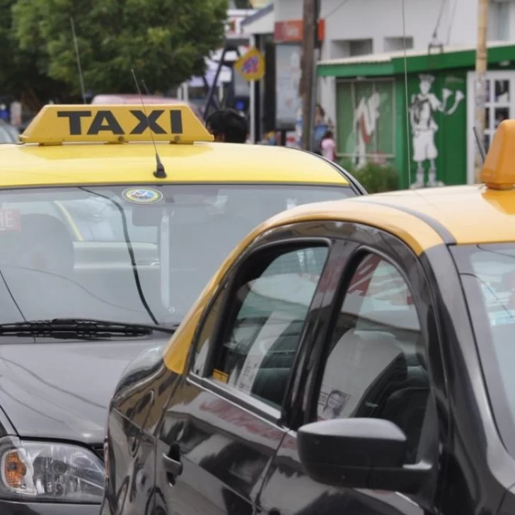 Taxicolectivos, el novedoso sistema que podría implementarse en Río Gallegos