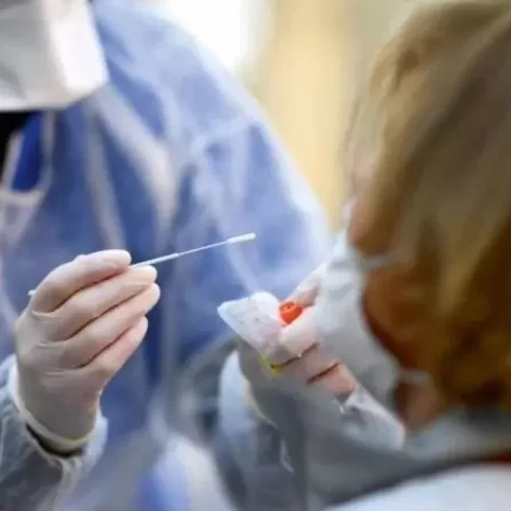Confirmaron 257 muertes y 6.135 nuevos contagios de coronavirus en Argentina