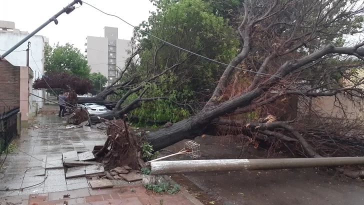 Imágenes impactantes: tornado en La Pampa deja postes caídos y árboles arrancados de raíz