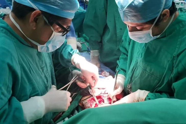 Trasplantaron un riñón de cerdo a un ser humano por primera vez en la historia