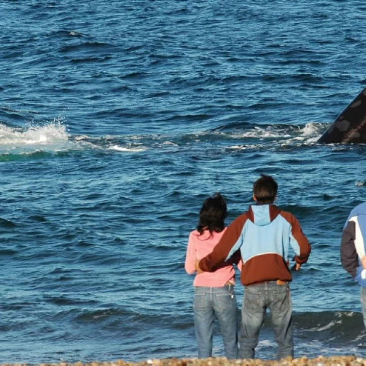 Llegaron más de 460 mil turistas extranjeros en la primera quincena del año