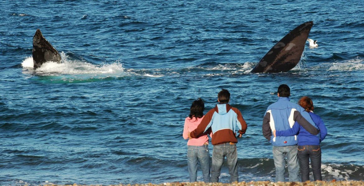 Llegaron más de 460 mil turistas extranjeros en la primera quincena del año