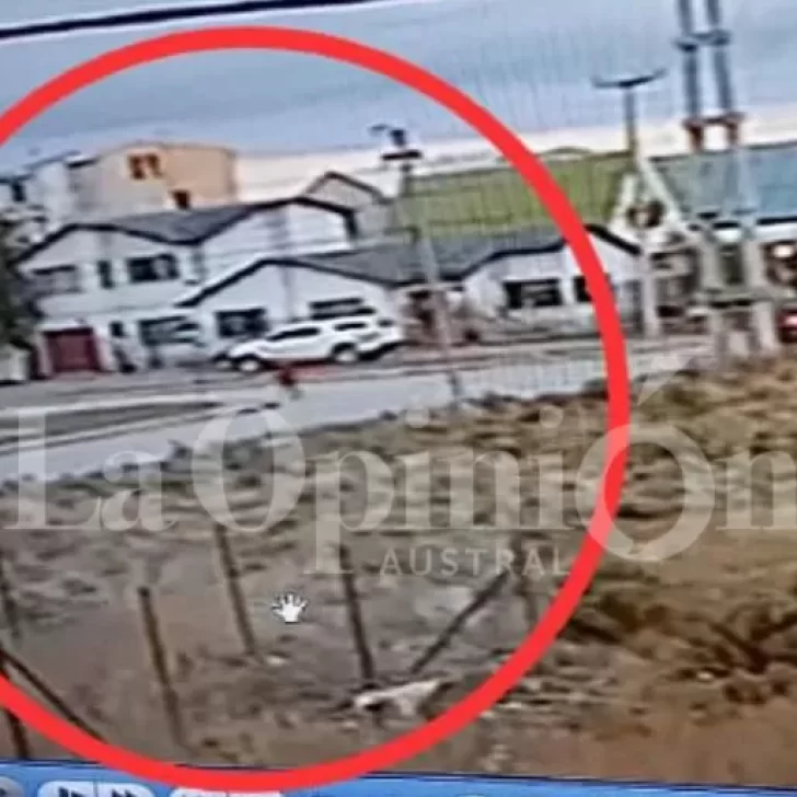 “¿De qué escapaba?”: un video muestra a Marcela López corriendo y su familia busca respuestas “¿De qué escapaba?”: un video muestra a Marcela López corriendo y su familia busca respuestas