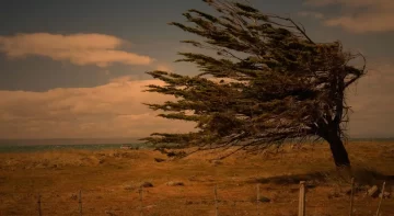 Santa Cruz tendrá vientos de 100 km/h el fin de semana y hay alerta meteorológica Santa Cruz tendrá vientos de 100 km/h el fin de semana y hay alerta meteorológica
