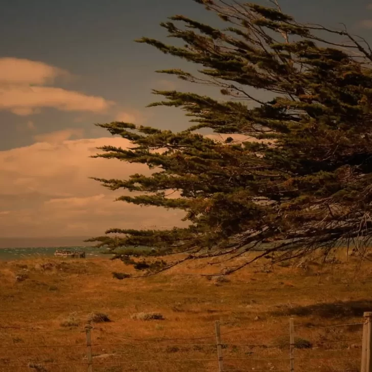 Santa Cruz tendrá vientos de 100 km/h el fin de semana y hay alerta meteorológica Santa Cruz tendrá vientos de 100 km/h el fin de semana y hay alerta meteorológica