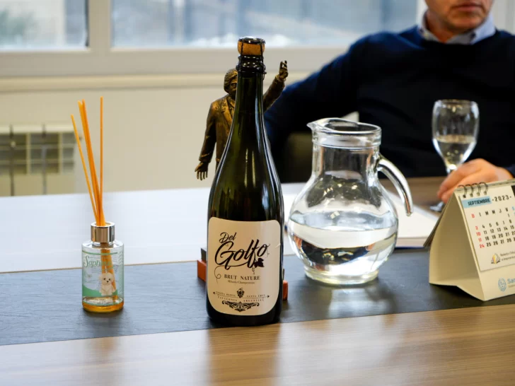 Vino made in Caleta Olivia: se aprobó el proyecto de “Bodega Artesanal”