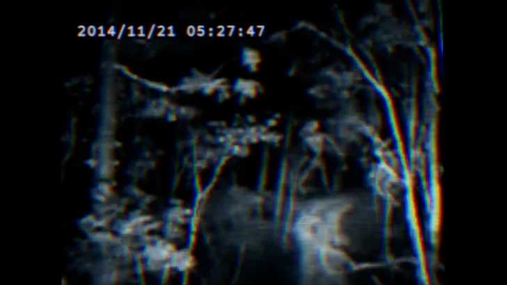 Loading en La Opinión Radio: El Terror analógico