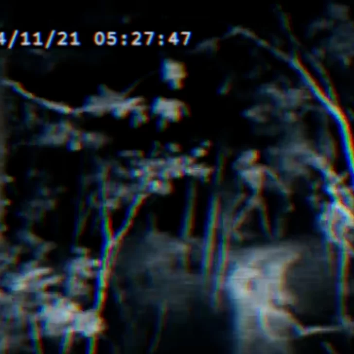 Loading en La Opinión Radio: El Terror analógico