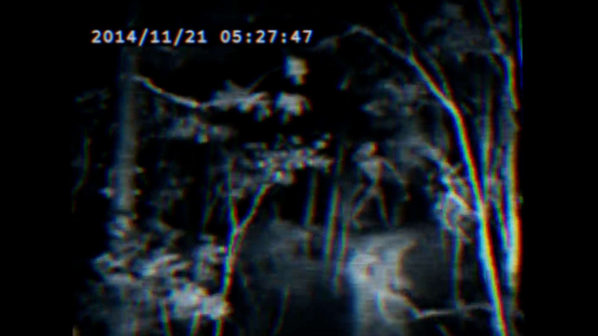 Loading en La Opinión Radio: El Terror analógico