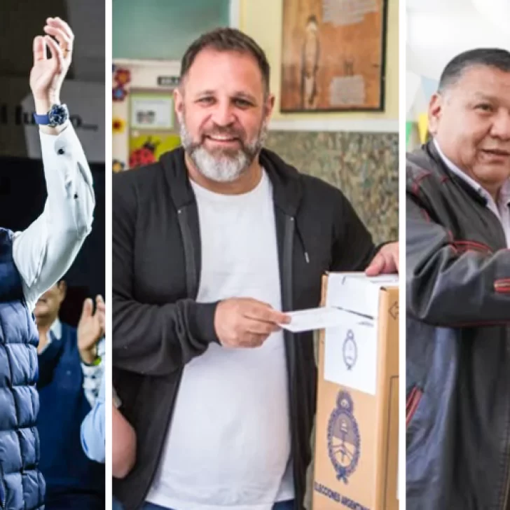 Treffinger, Glinski y Avila serán los diputados nacionales por Chubut