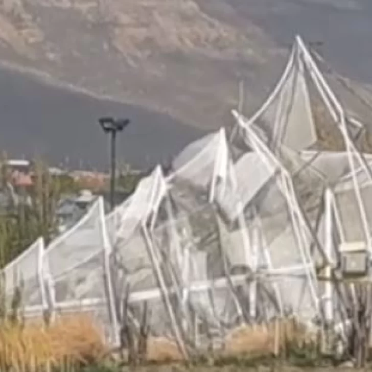 Se cayó el árbol de Navidad de 12 metros en El Calafate por los fuertes vientos