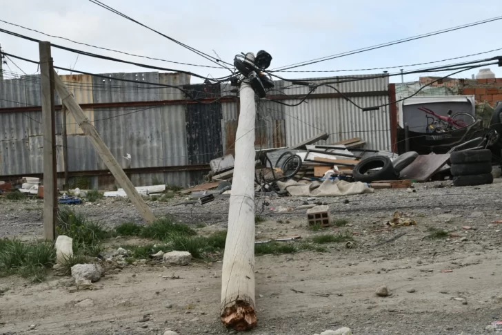 Cortes de luz, árboles y paredones caídos: las imágenes del fuerte temporal de viento en Santa Cruz