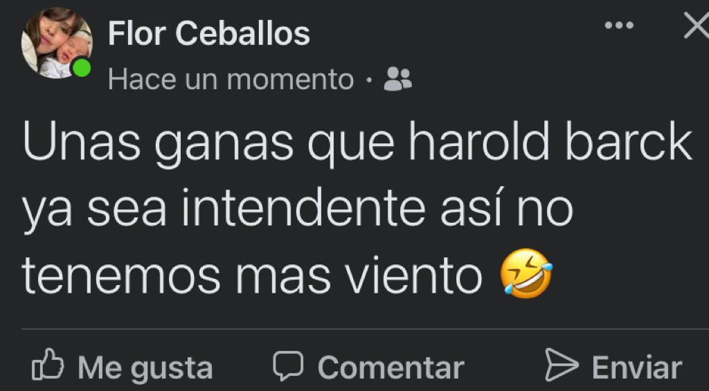 memes-harold-bark-viento-2-728x402