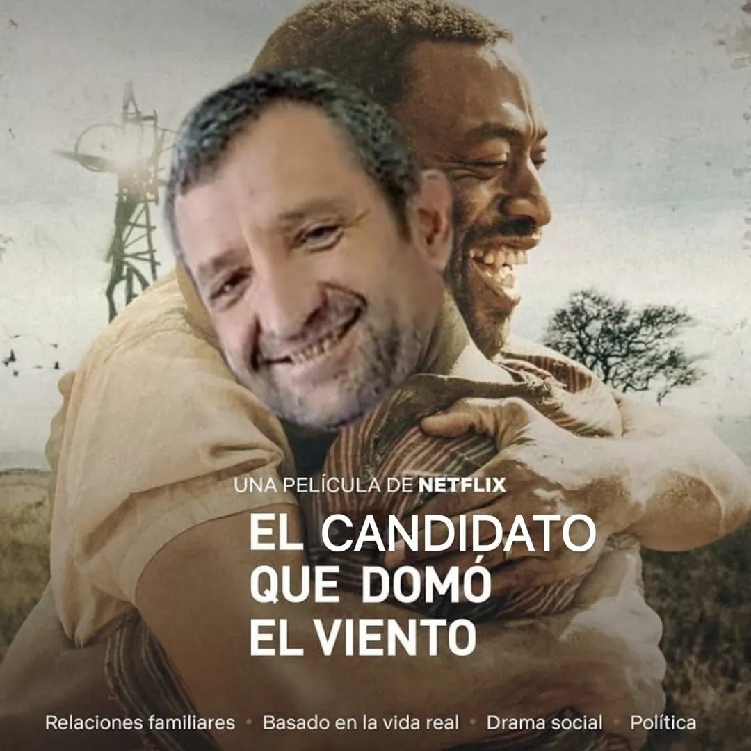 memes-harold-bark-viento-3-728x728